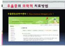 노인우울(증)의 원인과 특징 현황 및 사례 방안 프로그램 17페이지