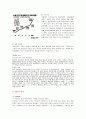 [국제마케팅]대한항공의 마케팅전략 분석 4페이지