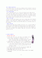 [국제마케팅]삼성전자 애니콜의 해외시장 마케팅전략 분석 10페이지