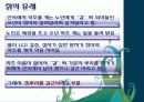 칡,갈근(Pueraria thunbergiana )이란? 6페이지
