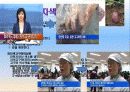 천연색재료(인공색소,천연색소) 12페이지