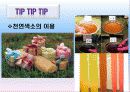 천연색재료(인공색소,천연색소) 19페이지