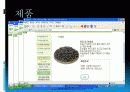 와송(Orostachys japonicus A. Berger ) 18페이지