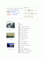 [국제마케팅] LG전자의 해외진출 사례와 전략 조사 5페이지