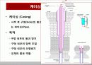 해저석유생산(개발), 석유생산플랫폼(구조물) 11페이지