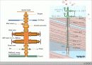 해저석유생산(개발), 석유생산플랫폼(구조물) 12페이지