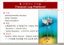 해저석유생산(개발), 석유생산플랫폼(구조물) 21페이지