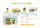 어성초(Houttuynia cordata) 12페이지