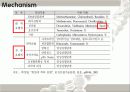 Taxol(천연물 항암제) 14페이지
