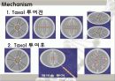 Taxol(천연물 항암제) 15페이지