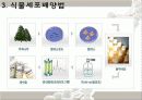 Taxol(천연물 항암제) 21페이지