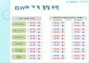 주식워런트 증권 13페이지