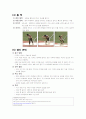달리기 보고서 10페이지