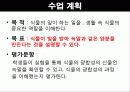 식물의 잎이 하는일  9페이지