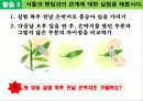 식물의 잎이 하는일  24페이지