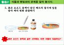 식물의 잎이 하는일  26페이지