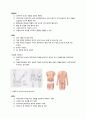 주사 부위와 명칭 3페이지