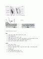 주사 부위와 명칭 5페이지
