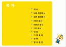 우리나라 다양한 콘텐츠 산업의 활성화 방안 2페이지