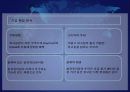 유통관리 마케팅 다이아몬드 Door 4p swot분석 stp ppt자료 4페이지