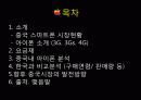 아이폰 중국과 한국 분석 2페이지