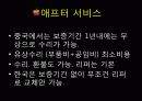 아이폰 중국과 한국 분석 34페이지