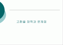 (국제금융 , 경제 , 경영 , 외환 환율 ) 고환율 정책과 문제점  1페이지