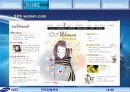 삼성 SDS 조사 13페이지