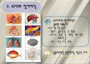 뇌사와 장기이식 ppt 18페이지