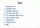 산업재해의 원인과 대책 2페이지