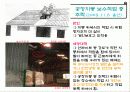 산업재해의 원인과 대책 14페이지