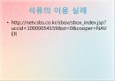 석류의 대한 전반적인 자료 및 효능 19페이지