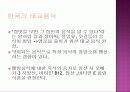 한,중,일 태교음식 비교 6페이지