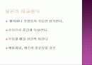 한,중,일 태교음식 비교 12페이지