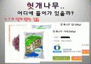헛개나무에 대하여 16페이지