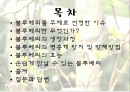 블루베리의 생장과정 병충해방지 및 효능 2페이지