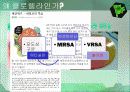클로렐라(Chlorella) 4페이지