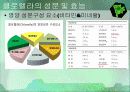 클로렐라(Chlorella) 8페이지