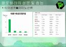 클로렐라(Chlorella) 9페이지