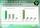 클로렐라(Chlorella) 10페이지