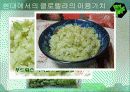 클로렐라(Chlorella) 16페이지