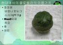 클로렐라(Chlorella) 17페이지
