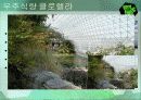 클로렐라(Chlorella) 20페이지
