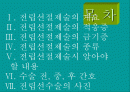 전립선절제술PPT 2페이지