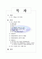 포드-핀토 와 기업윤리 1페이지