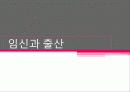 임신과 출산 - 결혼과 가정 1페이지