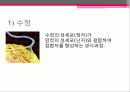 임신과 출산 - 결혼과 가정 5페이지