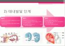 임신과 출산 - 결혼과 가정 6페이지