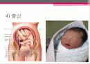 임신과 출산 - 결혼과 가정 9페이지