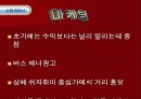 전자무역 사업계획서 18페이지